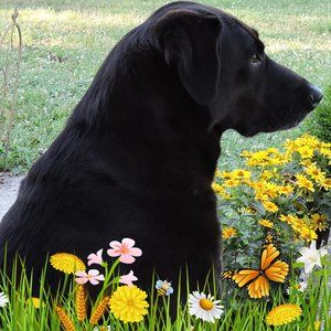 Meet your Posher, Donna